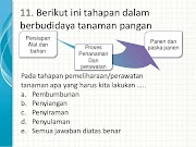 20+ Budidaya Tanaman Hias Kelas X