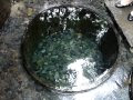 明治 神宮 井戸 場所 138800
