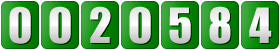 web hit counter