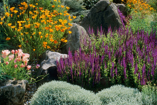 Landscaping Livermore Ca