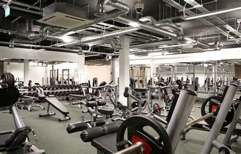 gallery buzz gym