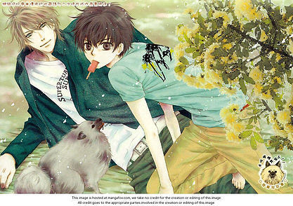 Super Lovers あべ美幸 感想 好きすぎる Blの萌えを吐くブログ Blのおすすめをご紹介