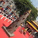 Ganesh Gully Mumbai Chya Raja Pandal Lalbagh 2012