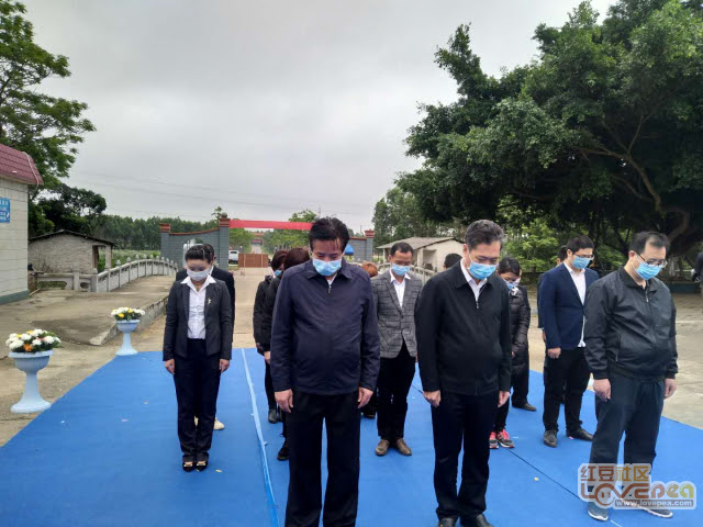 北海仙人墓园举行清明节公益集体代祭扫活动 手机红豆网 红豆社区