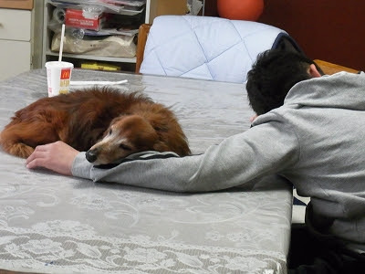 一丁目の犬々 ケンケン 腕枕