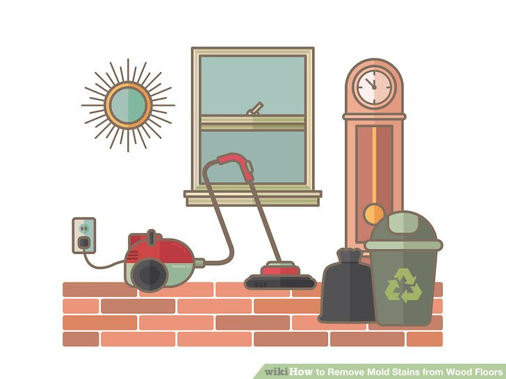 Remove Mold Stains from Wood Floors Step 14.jpg