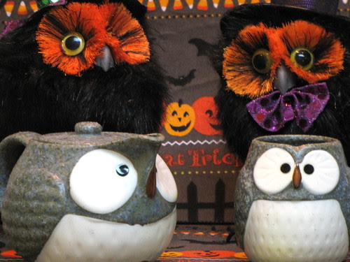 Owls for Tea