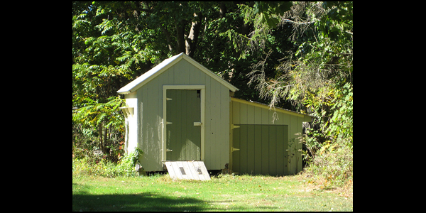 sheds have their own key advantages and disadvantages over wood
