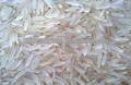 rice protein powder benefits