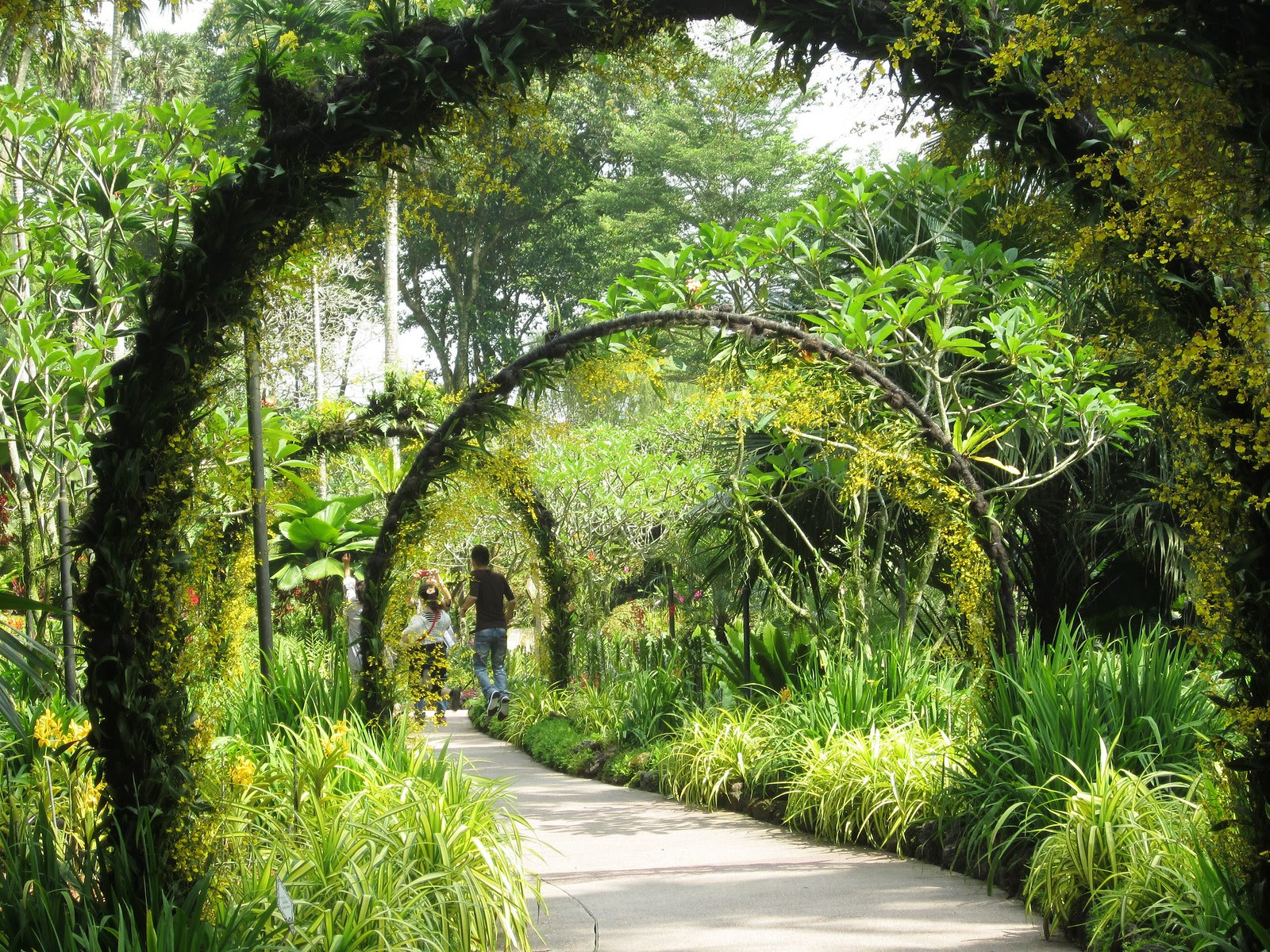 Singapore Botanic Garden