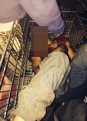 Members of the youngster's family found him in a shopping trolley that had been dumped on the roadside near the camp on the outskirts of Paris