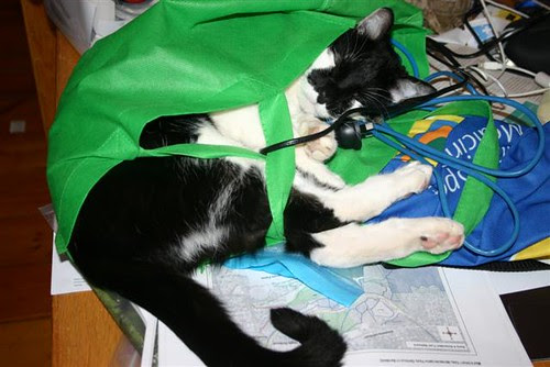 blog 2012 