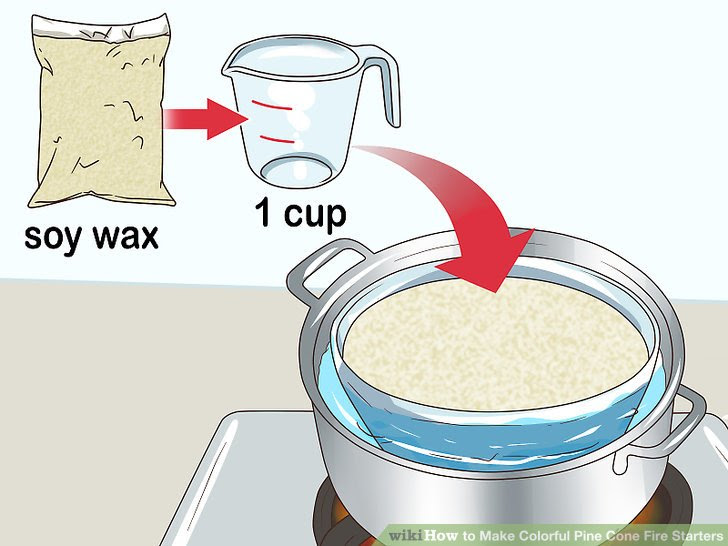 Make Colorful Pine Cone Fire Starters Step 1.jpg