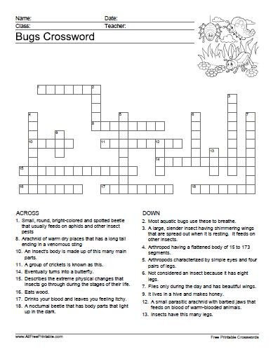 Insects Crossword | Free Printable