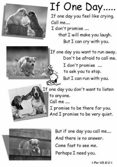... -Quotes-my-favourites-quotes-ceca-things-i-love-cool-sayings-arena