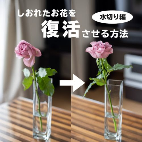 旭市の花屋 よしの生花 店長おすすめ しおれたお花を復活させる方法 千葉県旭市で花屋をお探しならギフトに最適なスタンド花 ハーバリウムが評判のよしの生花