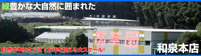 実店舗へのアクセス 株式会社国華園