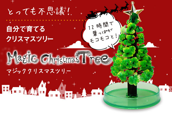郵便局にて 12時間で育つ不思議なクリスマスツリー マジッククリスマスツリー 販売キャンペーン開催中 株式会社otogino プレスリリース配信代行サービス ドリームニュース
