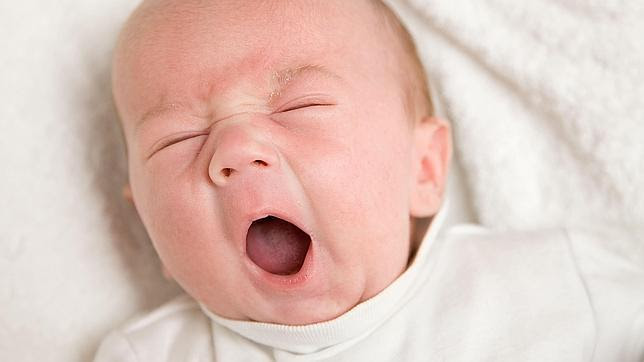 Resultado de imagen de bostezar