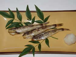 メヒカリ 目光 とろぼっち 戸田漁協直売所