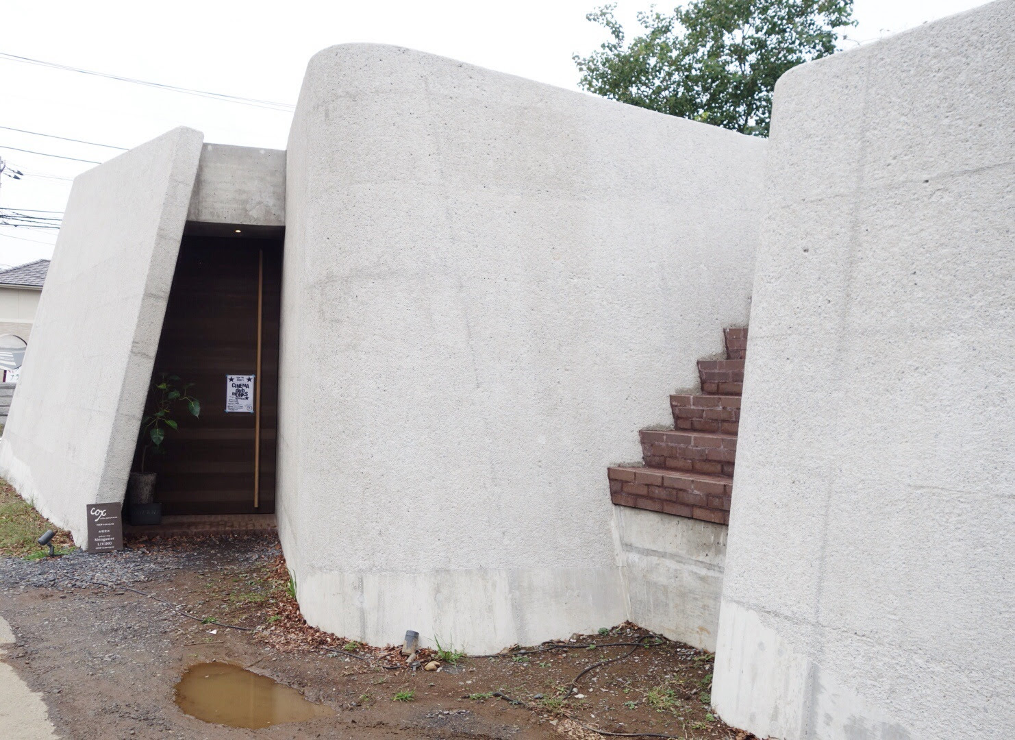 素敵な空間 Cox コックス でランチ シンゴスターリビングの食事