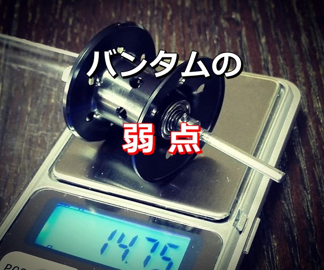 注意 買う前に知っておきたい18バンタムmglの弱点 Deeep Stream