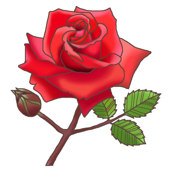ロブロイ カラー バラの花1 ばらのイラスト 花のイラスト素材 お花と季節のお礼状 ばら バラ 薔薇 Rose