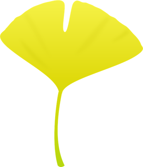 70以上 イラスト イチョウ イラスト 胃腸 無料 Judybonnerjp