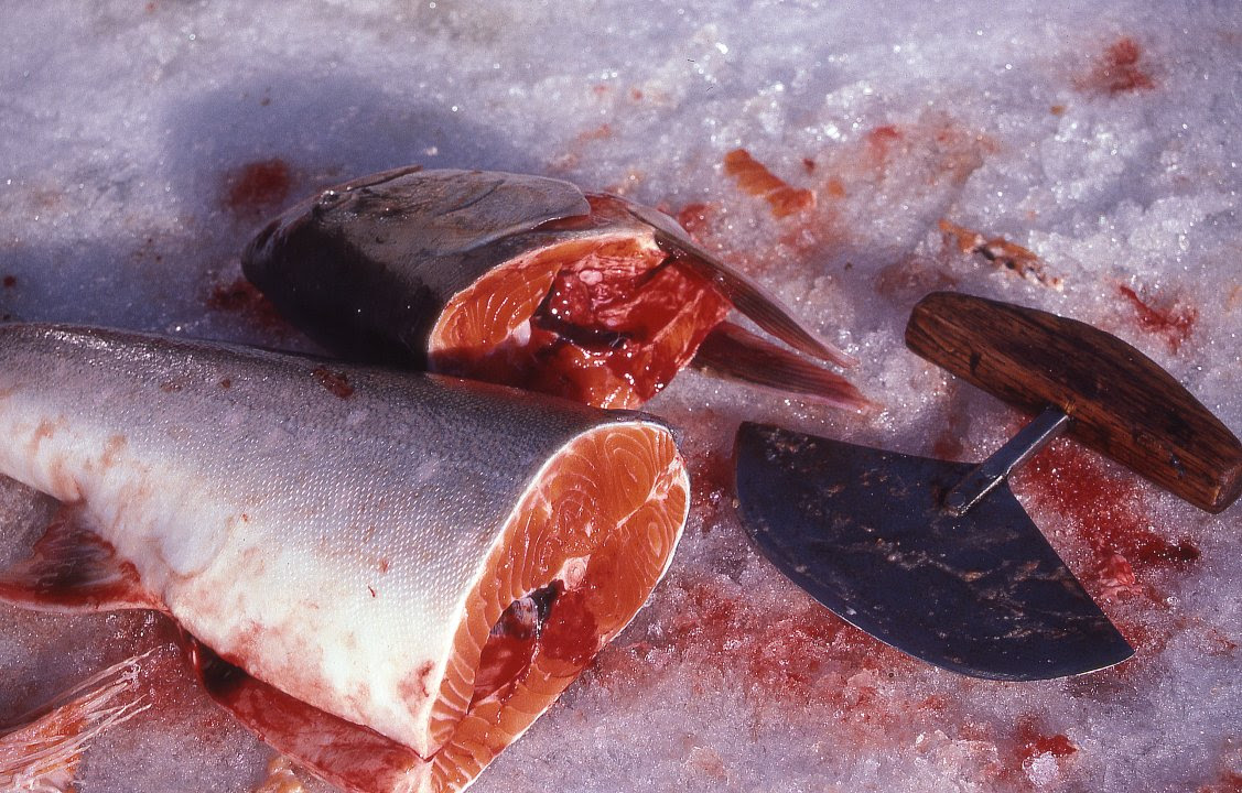 Fabulous Inuit Tribe Food 1127 x 720 · 230 kB · jpeg