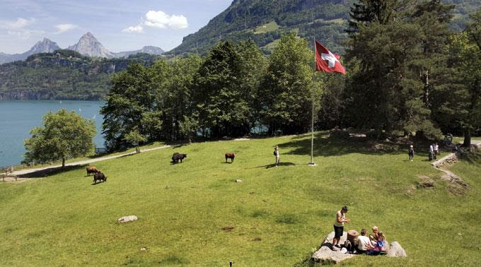 Rütli-Wiese