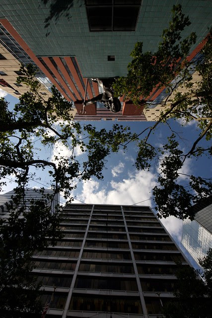 portlandia, 8mm