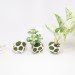 cella, kickstarter, planter pods, modular pod, modular, plant pod, moss,