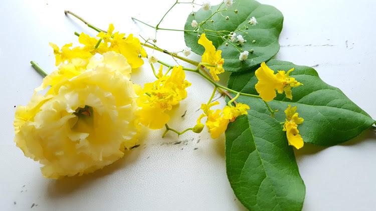 卒業式 卒園式 入学式に使えるコサージュ 生花での作り方 花づくし 色々なお花を楽しみつくします