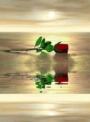 Animated Graphics, Animated Flowers, Beautiful Flowers, Keefers Pictures, Images and Photos