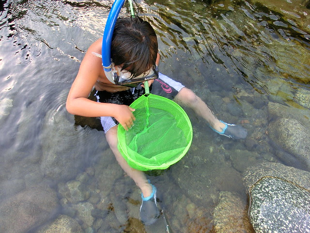 川遊び 水遊び 魚とり 自然の川で子供は大はしゃぎ 藤野キャンプ場 サイレントリバー 神奈川県津久井 関東東京遊び場日帰りドライブマップ 家族 子供のお出かけスポット