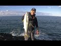 画像をダウンロード 磯 ヒラマサ ロッド 121350-磯 ヒラマサ ロッド