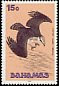Western Osprey Pandion haliaetus
