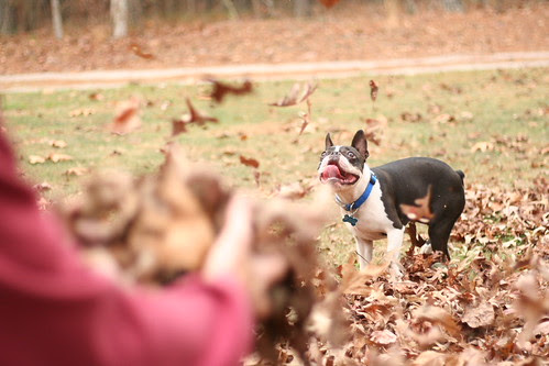 Charlie Nov 2013 (197)