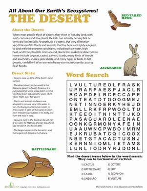 desert ecosystem worksheet educationcom