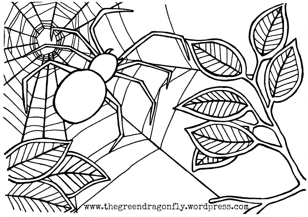 Download Spider coloring pages to download and print for free