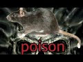 Rat Killer Poison In Tamil