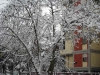 Dscn5510