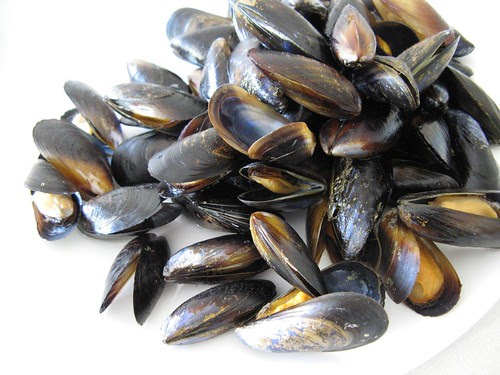s love for the shellfish back in October  Mussels, and my kids