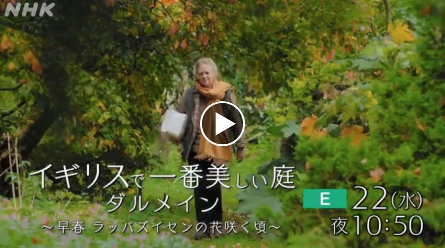 ダルメインの庭 あした放送です Antroな日々