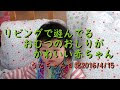 赤ちゃん おしり かわいい 138487-赤ちゃん おしり かわいい