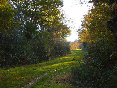 Pays de Loire 25112010 agayfriday licence cc
