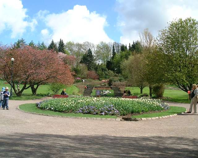 File:Goeteborg botanisk traedgaorden.jpg