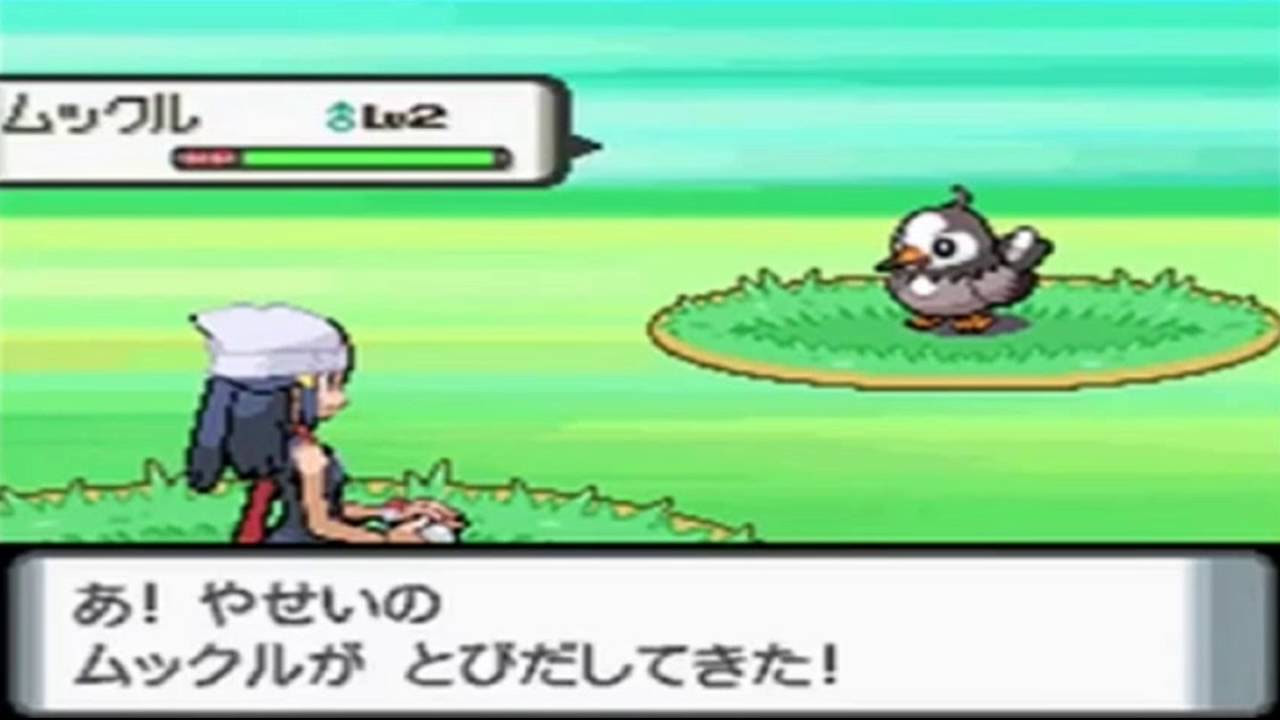 ダイパ ムクホーク 最初の草むらで捕まえられるくせに強すぎる げぇ速
