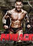WWE Payback (2013)