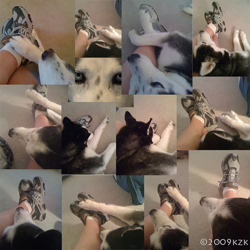DaveCollage1